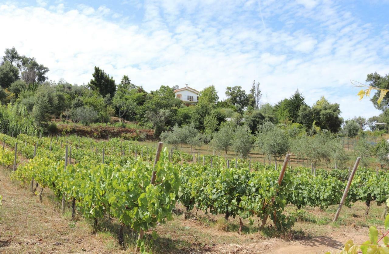 הוילה פיגרו דוס ויניוס Quinta De S. Luis - Valada מראה חיצוני תמונה